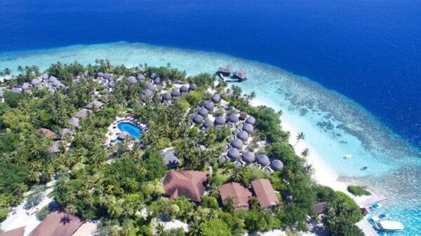 Bild vom Hotel  Bandos Maldives